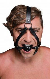 head harness with ball gag