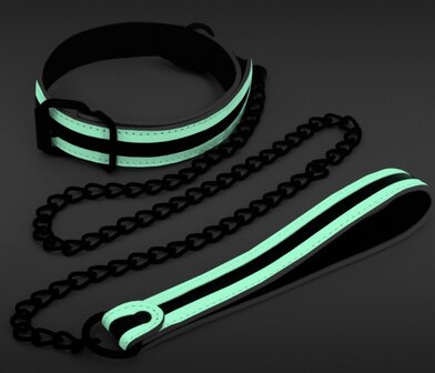 glow in the dark collar leash