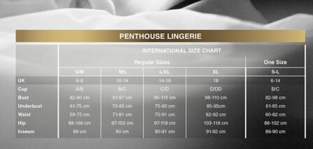 Penthouse Perfect Lover Black (SM, ML, XL)