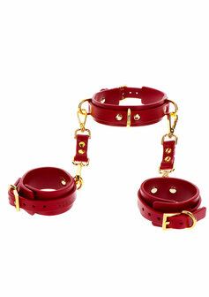 Burgundy D-Ring Collar &amp; Wrist Cuffs