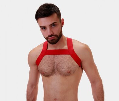 barcode berlin elastic harness red