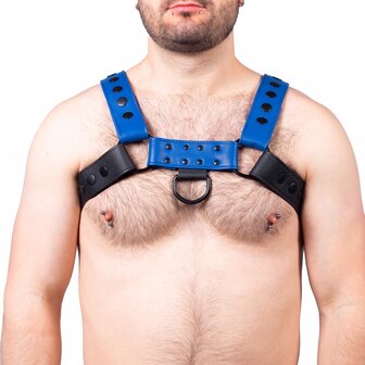 leather harness gay blue black