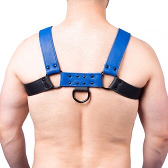 blue black wide harness
