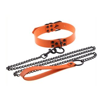 collar leash orange 