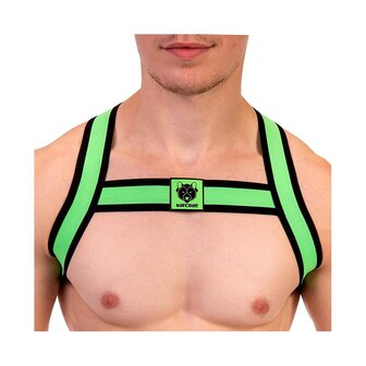 Elastic Harness Green