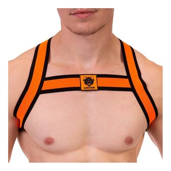 Elastic Harness Orange 