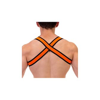 Elastic Harness Orange 