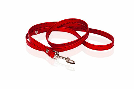 collar leash vegan crystals red