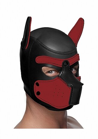 Neoprene Puppy Hood Black Red