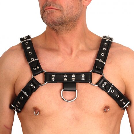 fine leather harness