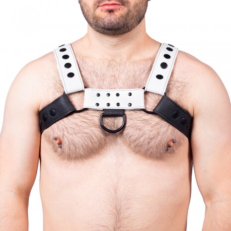 harness black white leather gay