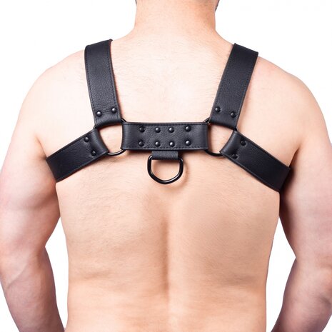 wide leather harness guy