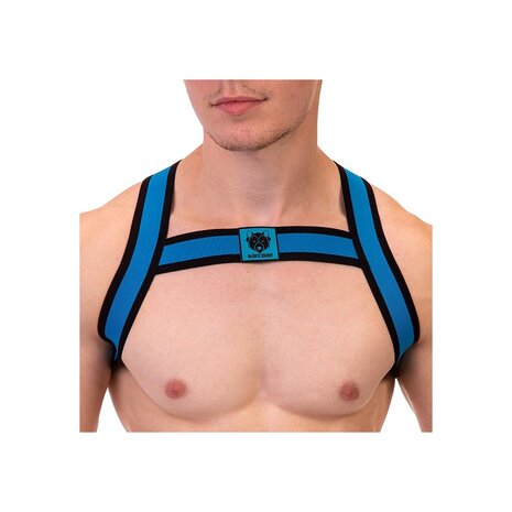 Elastic Harness Blue 