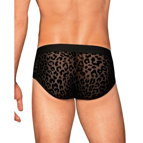 obsessive leopard brief