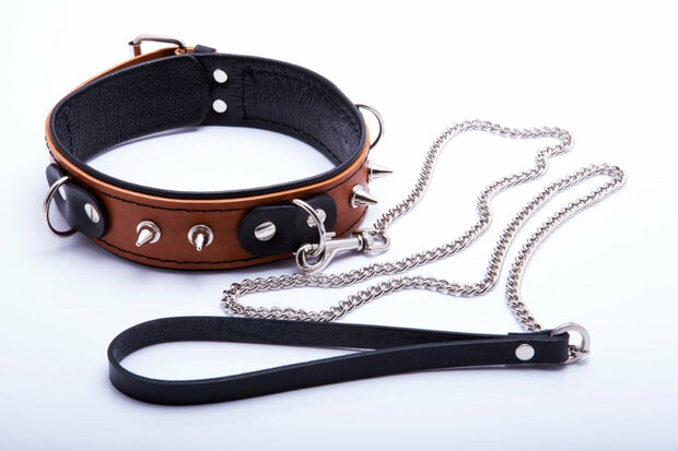 cognac collar with leash 