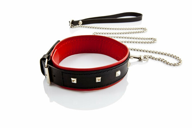 collar with leash for her classic