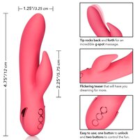 San Francisco Sweetheart 