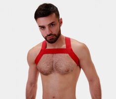 Elastic Harness Red 