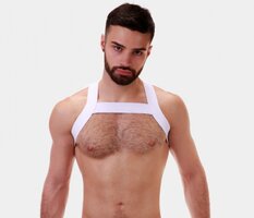 Elastic Harness White 